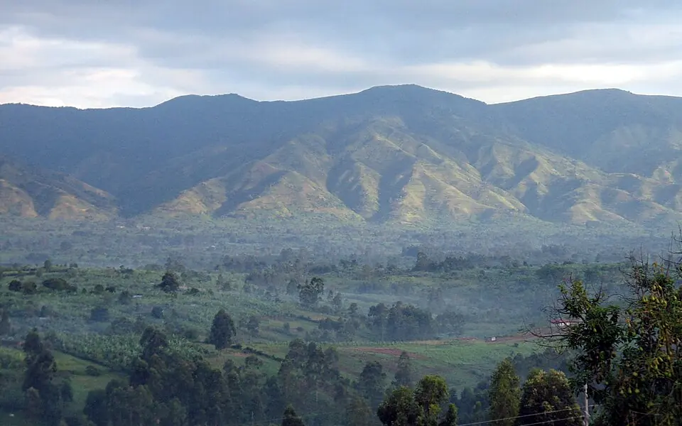 The blue slopes of the Rwenzori mountains above farmland